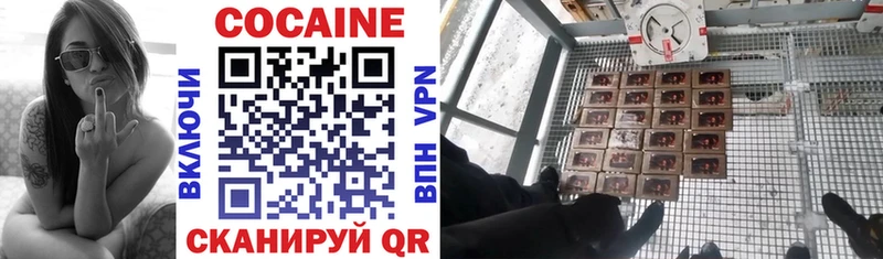 Купить закладки  Карачев  Cocaine 99% 