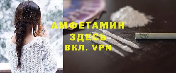 шишки Вяземский