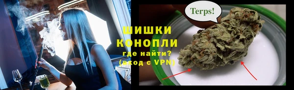 шишки Вяземский