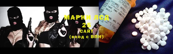 шишки Вяземский
