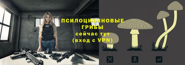 шишки Вяземский