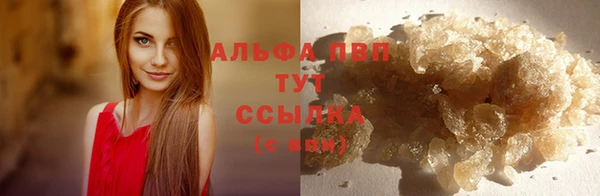 шишки Вяземский