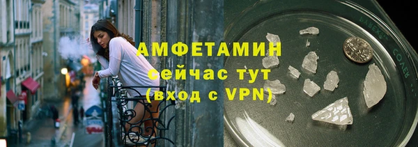 шишки Вяземский